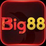 Logo-Big-256